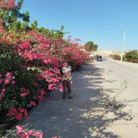 اجرای کامل ساخت وسازساختمان کلید تحویل