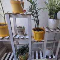 استند گل در حد نو