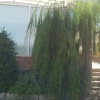 اجاره ویلا استخر ابگرم داخل نزدیک امنیت|اجارهٔ کوتاهمدت ویلا و باغ|مشهد, ویلاشهر|دیوار