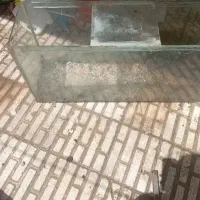 آکواریوم