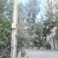 پیش-فروش-آزادی