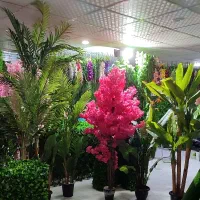 ریسه گل حصار درختچه شکوفه اویز