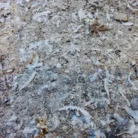 کود مرغ گوشتی