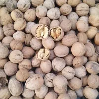 گردو پوست کاغذی تویسرکان