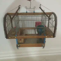 قفس تله دار دست باف