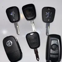 ۲۰۶ ۲۰۷ ریموت کلید فقط ۲۹۹ هزار