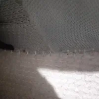 کفش اسپرت|کیف، کفش، کمربند|پرند, فاز ۶|دیوار