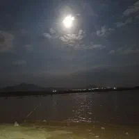 گمشده نیه بچکه کوریشک