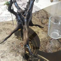 چوب آبنوس|ماهی|اصفهان, شهرک میلاد|دیوار