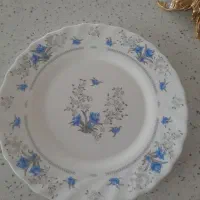 پیش دستی آکروپال