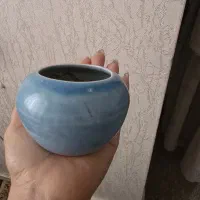 گلدان خالی|گل و گیاه طبیعی|تهران, خانی آباد نو جنوبی|دیوار