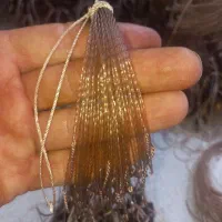 دام بلدرچین