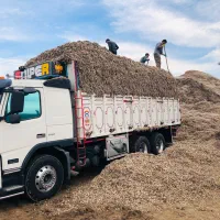 کچاله چاقانه|عمده‌فروشی|بوئین زهرا, |دیوار