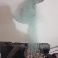 تور ماهیگیری