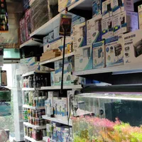 انواع ماهی گیاه خوار|ماهی|شیراز, شهرک سراج‎|دیوار