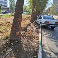 پژو روآ (ROA) دوگانه سوز، مدل ۱۳۸۷