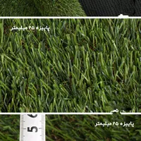 چمن مصنوعی|گل مصنوعی|نیشابور, شهید جعفری|دیوار