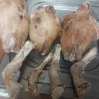 کله پاچه بره و شیشک پاچه گوساله و سیرابی|خوردنی و آشامیدنی|خمینی‌شهر, |دیوار