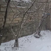 اجاره-منزل-مسکونی