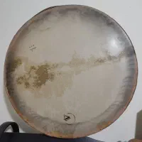 دف حبیبی بزرگسال و نوجوان