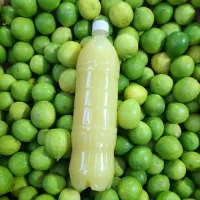 فروش عمده آبلیمو، آبغوره، آب نارنج و سرکه سیب
