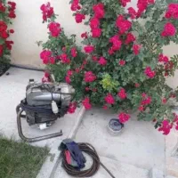 لوله بازکنی ولوله بازکشی۲۴ ساعته کل تهران|خدمات پیشه و مهارت|تهران, آذری|دیوار