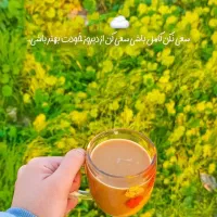 رویاهات به واقعیت تبدیل کن(ویژه بانوان)