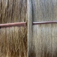 موخوره گیری روسی تخصصی