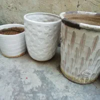 گلدان سرامیکی|گل و گیاه طبیعی|شیراز, شهرک گلشن|دیوار