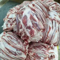 قلوگاه منجمد وتازه گوسفندی بچه فیله مرغ