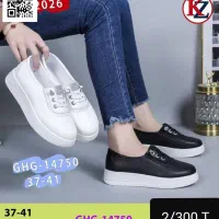 فروش انواع کیف و کفش ایرانی و خارجی