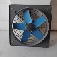 فن و بخاری