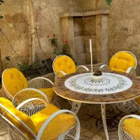 اجاره فوری لاین های زیبایی