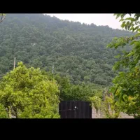 فروش ویلا باغ نوشهر کد 126