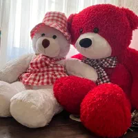 حراج دوتا خرس