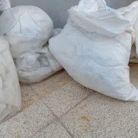 گونی