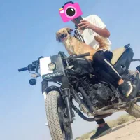 چهار تا توله از نژاد اصیل