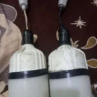 ۲ عدد لامپ با دوشاخه صنعتی