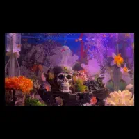 فروش آکواریوم 150 لیتر همراه با تمام وسایل ها