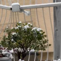 فروش-زمین-مسکونی-تجاری