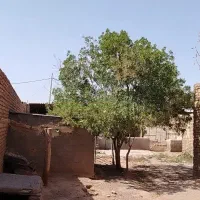 فروش ملک|فروش خانه و ویلا|بوژگان, |دیوار