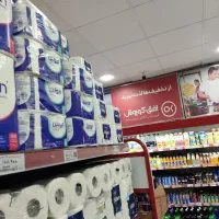 استخدام سرپرست و مدیر  افق کوروش با سابقه