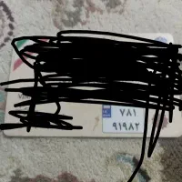 یک عدد پلاک گمشده هست