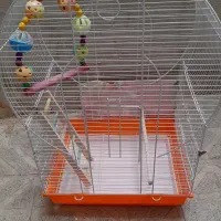 قفس نو بزرگ ،جوجه عروس هلندی بالغ دونخور با قفس