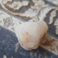 سنگ|کلکسیون اشیاء عتیقه|شیراز, شهرک ایثار|دیوار