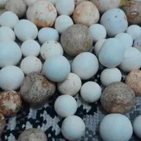 سنگ آسیاب تعداد محدود|کلکسیون اشیاء عتیقه|بیرانوند, |دیوار