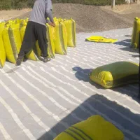 تخمه افتاب گردان سنقری ۱۰تن درجه یک