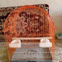 قفس پرنده اکبند