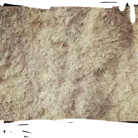 کاه جو خوشه