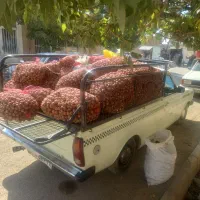 وانت بار